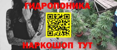 молекула духа Ярцево