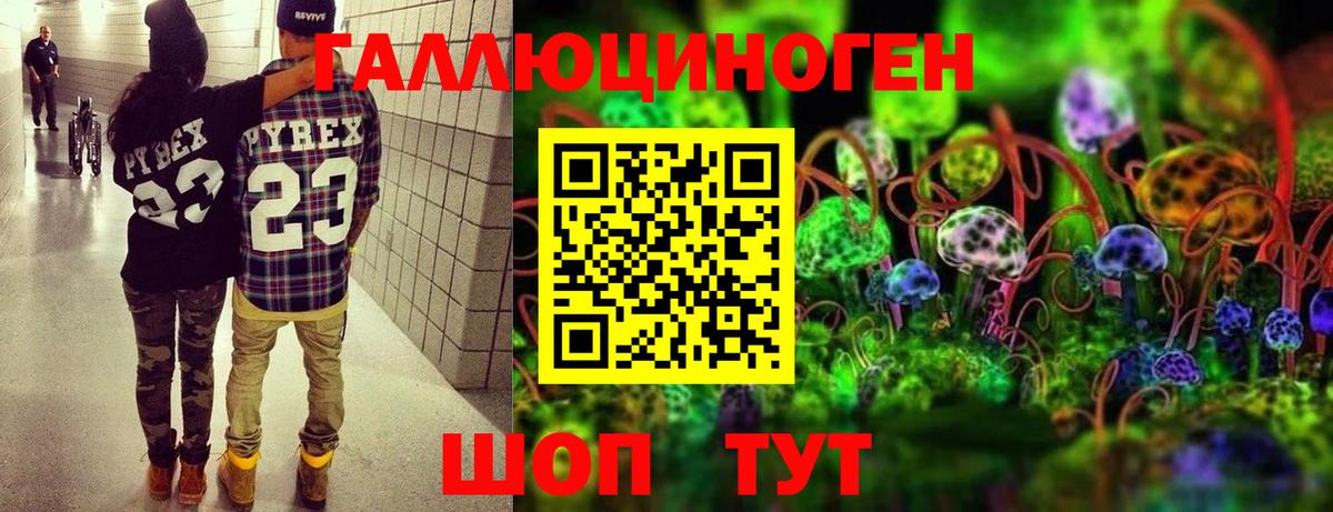 Псилоцибиновые грибы Psilocybe Артём